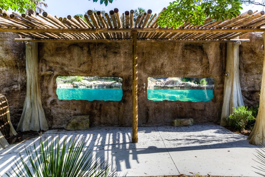 Photo North American River Otter Exhibit - 2
