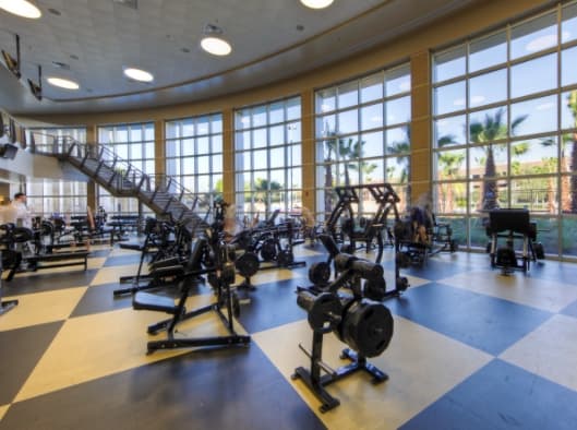 Recreation + Wellness